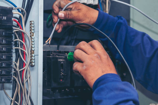 Best Electrician for Home Renovation  in Glenwood, MN